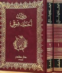 غلاف الكتاب