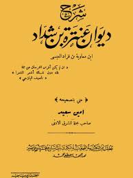 غلاف الكتاب